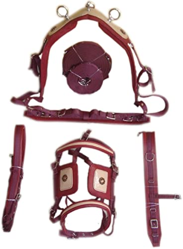 SHOWMEN CRAFT Cherry/Beige Synthetisches Patent Nylon Pferd Driving Harness mit Designer-Zaumzeug (COB) von SHOWMEN CRAFT