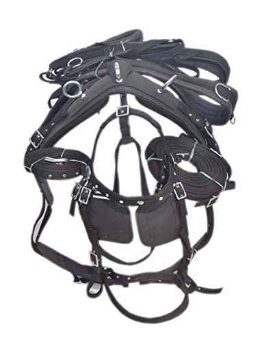SHOWMEN CRAFT Nylon Driving Harness for Single Horse in Black with Showmen Craft0MM Künstliche Cubic Zircon Stone Brow Band in Bridle In 4 Größen (Shetland)53 von SHOWMEN CRAFT