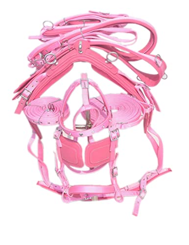 SHOWMEN CRAFT Nylon Pferd Fahren Geschirre Für Einzelpferd Rosa Farbe Mit Diamant Browbnd Zaumzeug (PONY) von SHOWMEN CRAFT