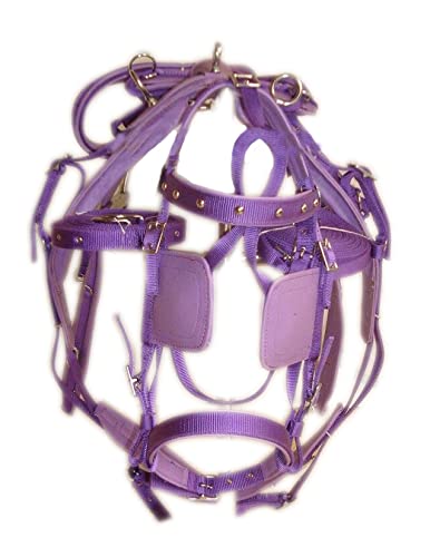 SHOWMEN CRAFT Synthetisches Nylon-Pferdegeschirr für einzelne Pferdewagen, Violett SHOWMEN CRAFT Synthetisches Nylon-Pferdegeschirr für einzelne Pferdewagen, Violett von SHOWMEN CRAFT