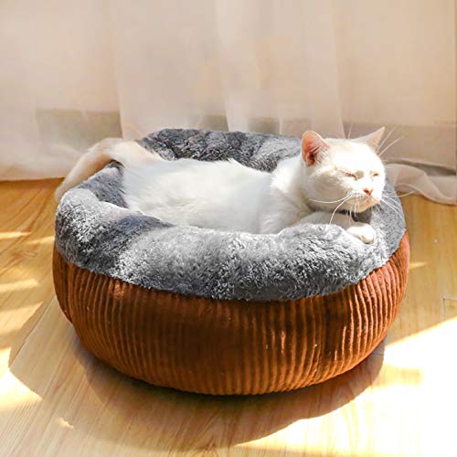 SHPEHP Pet Dog Bed-Ergonomisches Luxe Coral Fleece Lounger Cradle Matratze Contour Pet Bed für Reisen im Innen- und Außenbereich mit Mehreren Farben und Größen-Brown-L von SHPEHP