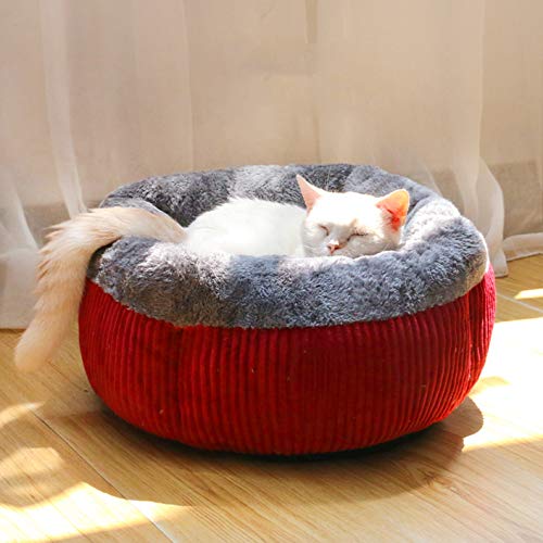 SHPEHP Pet Dog Bed-Ergonomisches Luxe Coral Fleece Lounger Cradle Matratze Contour Pet Bed für Reisen im Innen- und Außenbereich mit Mehreren Farben und Größen-red-S von SHPEHP