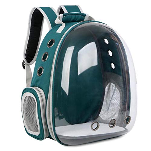 Hundetragerucksack, atmungsaktiv, tragbar, Haustier-Tragetasche, Outdoor-Reisen, Welpen, Katze, transparenter Weltraum-Haustierrucksack, Kapsel-Haustier-Tragetasche (Farbe: Grün) von SHQ