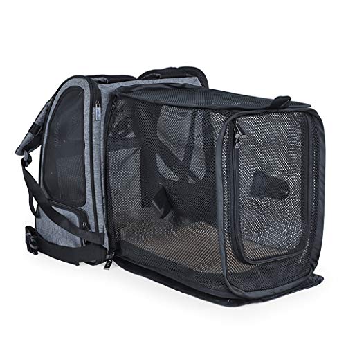 Hundetragetasche, skalierbar, für kleine Hunde oder Katzen, atmungsaktives Netzgewebe, Welpenrucksack für Reisen, Wandern, Wandern, Radfahren, Outdoor-Haustier-Tragetasche (Farbe: Schwarz) von SHQ