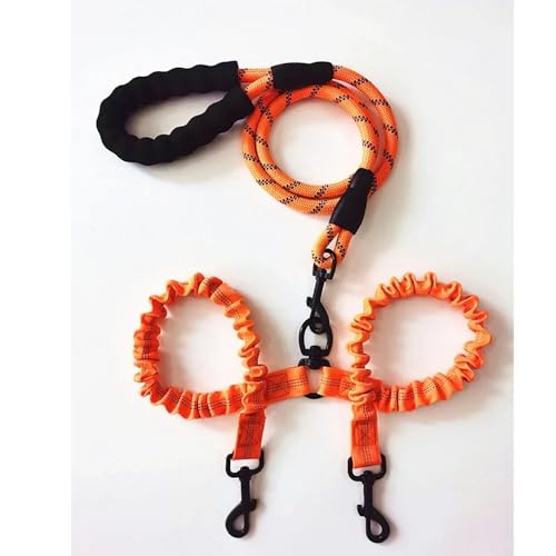 Doppelleine für Haustiere, elastisches Seil, zwei Köpfe, Nylon, 2-Wege-Koppler, Spaziergang, zwei Hundehalsbänder, Geschirr, Leinen, Hundeleine (Orange) von SHUIXIAYUE