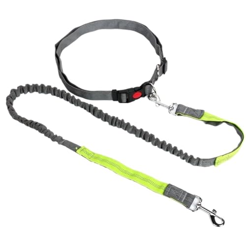 Einziehbare Hundeleine mit verstellbarem Taillenseil, freihändiges Laufen, Joggen, Radfahren, große Hunde, elastische Leine, Haustierzubehör (grün) von SHUIXIAYUE