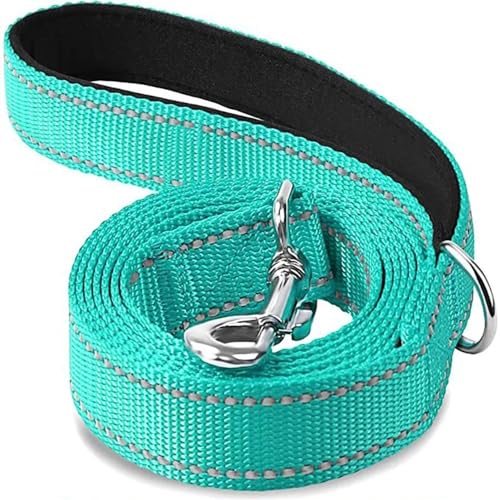 Katzen- und Hundegeschirr, Leine, Nachtreflektion, Abschleppseil, 1,2 / 1,5 / 1,8 m, Schutzseil, für Spaziergänge, Trainingsleine (Cyan, 2,5 x 120 cm) von SHUIXIAYUE