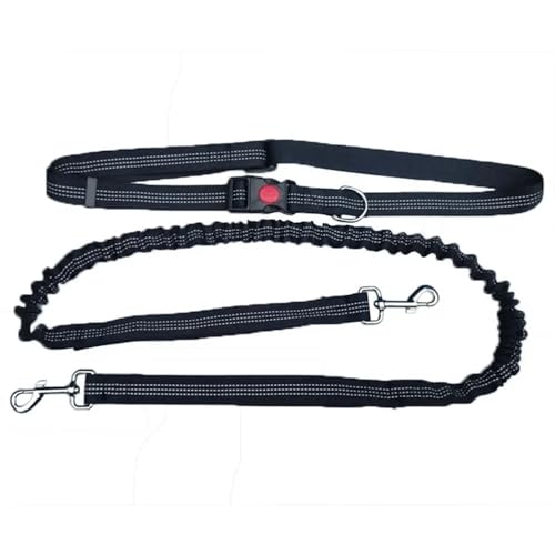 Strapazierfähige elastische Nylon-Hundeleine zum Laufen und Spazierengehen, mit komfortablem Griff, ideal für aktive Hunde und Besitzer, Schwarz Strapazierfähige elastische Nylon-Hundeleine zum Laufen und Spazierengehen, mit komfortablem Griff, ideal für aktive Hunde und Besitzer, Schwarz von SHUIXIAYUE