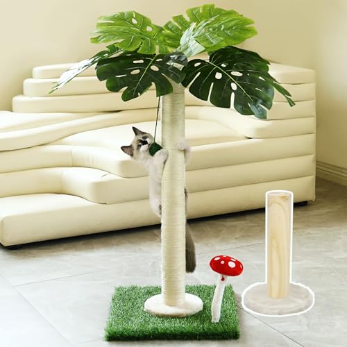 SHUNY Katzenkratzbaum, 89,9 cm hoch, für Indoor-Katzen, Natursisal-Kratzbaum mit hängendem Ball, Palme, Katzenkratzbaum für erwachsene Katzen und Kätzchen von SHUNY