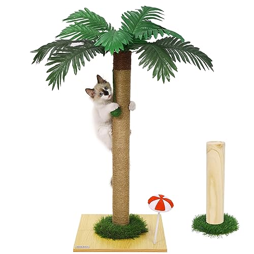 Katzenkratzbaum 81,3 cm hoch Katzenkratzbäume für Indoor-Katzen Stabiler und langlebiger Sisal-Katzenkratzbaum mit hängendem Ball, niedlicher Katzenkratzbaum für große Katzen und Kätzchen von SHUNY