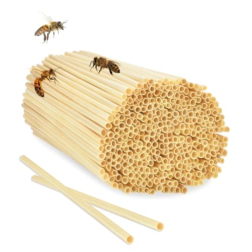 SHUOHONG 500 Stück Wildbienen Nisthilfe, Hochwertiges Insektenhotel, Zubehör für Insektenhaus, Nisthilfe zum AufhäNgen, für Bienenhotel, Wildbienenhaus, Marienkäfer, Florfliegen, Schmetterlinge von SHUOHONG