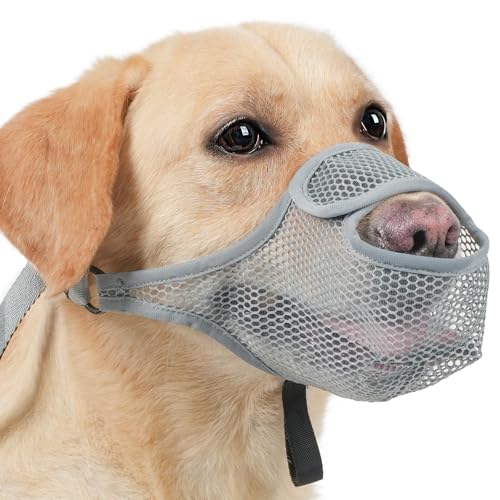SHUOHONG Hunde Maulkorb, Nylon-Mesh, Atmungsaktiv und Bequem, Maulkorb Kleine Hunde mit Verstellbaren Trägern (Grau-S) von SHUOHONG
