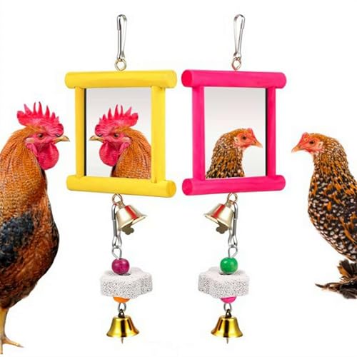 Hühnerspielzeug für Hühner, Schaukelspiegel mit Schnabelschleifsteinen, hängende Glocke, Papageien, Hühner-Schaukel, Schnabel-Schleifsteine zur Bereicherung, perfekt für Stall, Vögel, Papageien, 2 Hühnerspielzeug für Hühner, Schaukelspiegel mit Schnabelschleifsteinen, hängende Glocke, Papageien, Hühner-Schaukel, Schnabel-Schleifsteine zur Bereicherung, perfekt für Stall, Vögel, Papageien, 2 von SHUZHENG