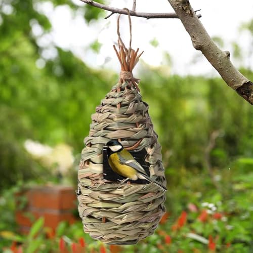 Vogelhaus zum Aufhängen im Freien, handgewebtes Vogelnest, hängendes Kolibri-Nesthaus für draußen, Kugelform, natürliches Gras für Garten, Terrasse, Rasen, Büro, Innenbereich Vogelhaus zum Aufhängen im Freien, handgewebtes Vogelnest, hängendes Kolibri-Nesthaus für draußen, Kugelform, natürliches Gras für Garten, Terrasse, Rasen, Büro, Innenbereich von SHUZHENG