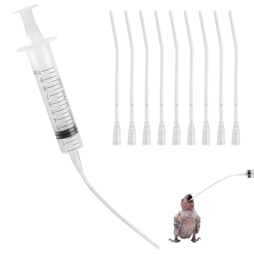 SHYSBV 10 Stück 80cm JungvöGel FüTtern Schlauch, 10ml Aufzuchtflasche Futterspritze, Jungvögel Füttern Spritze, Handfütterung Spritze, Spritze mit Schlauch, für Baby Vögel Papageien SHYSBV 10 Stück 80cm JungvöGel FüTtern Schlauch, 10ml Aufzuchtflasche Futterspritze, Jungvögel Füttern Spritze, Handfütterung Spritze, Spritze mit Schlauch, für Baby Vögel Papageien von SHYSBV