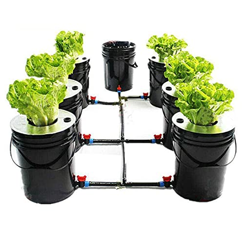 SHZICMY Indoor Hydroponic Hydrokultur DWC Grow System Kit Water Growing System 20Lx7 Erdlose Anbau Hydroponische für Home Indoor Hydroponic Anzucht-System von SHZICMY