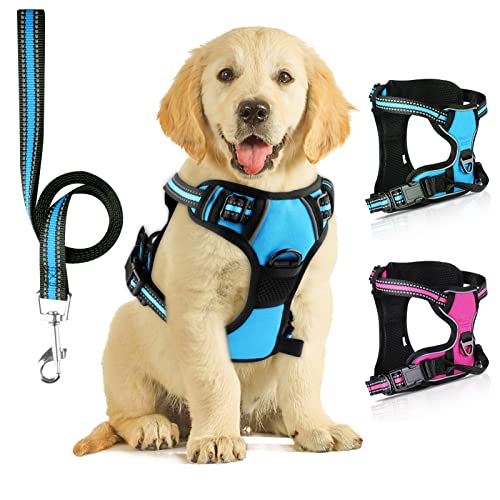 SIBOTER Hundegeschirr mit Hundeleine, Reflektierendes Hundegeschirr Kleine Hunde, mit Einfache Kontrolle Griff und Rückseite perfekt für Spaziergänge im Freien(S, Blau) SIBOTER Hundegeschirr mit Hundeleine, Reflektierendes Hundegeschirr Kleine Hunde, mit Einfache Kontrolle Griff und Rückseite perfekt für Spaziergänge im Freien(S, Blau) von SIBOTER