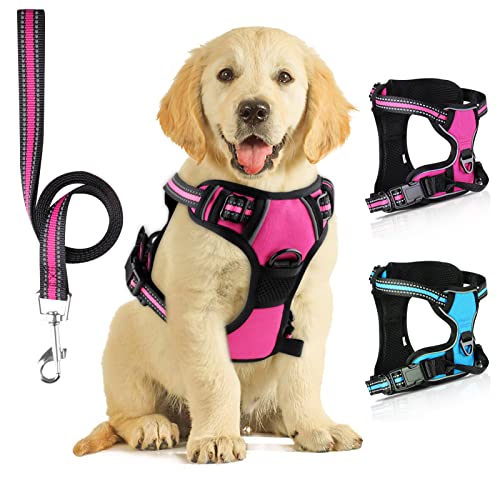 SIBOTER Hundegeschirr mit Hundeleine, Reflektierendes Hundegeschirr Kleine Hunde, mit Einfache Kontrolle Griff und Rückseite perfekt für Spaziergänge im Freien(S, Rosa) von SIBOTER