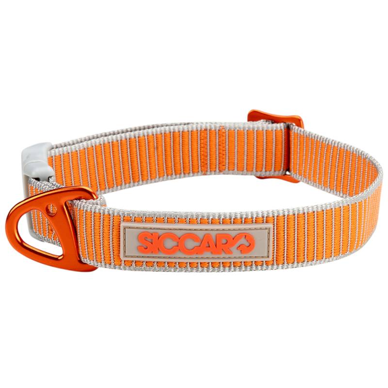 SICCARO Hunde-Halsband Sealines silber-orange, Gr. L, Breite: ca. 2,5 cm, Länge: ca. 51 - 66 cm von SICCARO