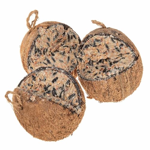 SIDCO Vogelfutter 3 x Kokosnuss Wildvogelfutter Fettfutter Meisenknödel Futterstation SIDCO Vogelfutter 3 x Kokosnuss Wildvogelfutter Fettfutter Meisenknödel Futterstation von SIDCO