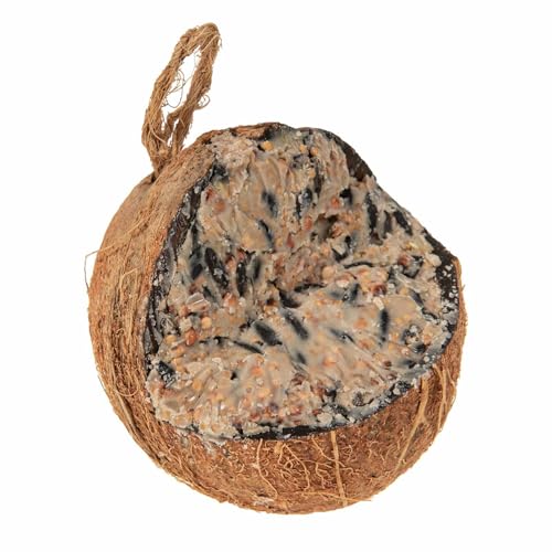 SIDCO Vogelfutter Kokosnuss Wildvogelfutter Fettfutter Meisenknödel Futterstation SIDCO Vogelfutter Kokosnuss Wildvogelfutter Fettfutter Meisenknödel Futterstation von SIDCO