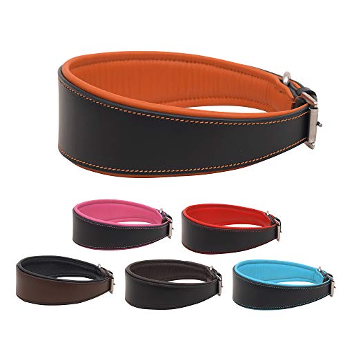 Hundehalsband, gepolstert, Leder, mit passender Leine, 20,3 cm, Schwarz mit orangefarbenem Futter, passend für 16,5 cm bis 20,3 cm von SIE EQUESTRIAN