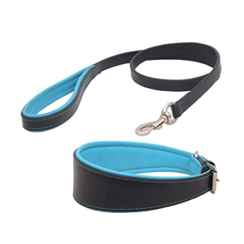 SIE EQUESTRIAN Hundehalsband aus Leder, mit passender Leine, Schwarz mit blauem Futter, 61 cm, passend für 53,3 bis 61 cm von SIE EQUESTRIAN