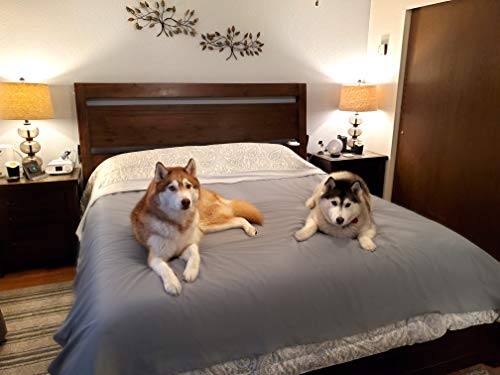 SILLY LEGACY wasserdichte wendbare Schutzdecke oder Liner für Bett oder Couch, für Hunde und Katzen (Doppel, 208 x 208 cm; grau) von SILLY LEGACY