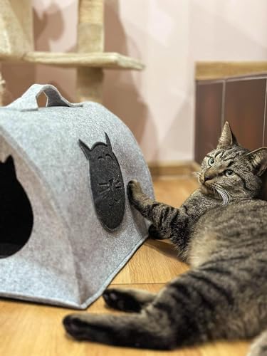 Filz Katzenhöhle Spielzeug – Faltbare Kuschelhöhle Schlafplatz für Katzen zum Schlafen, Verstecken, Toben und Kratzen (S) von SILUK