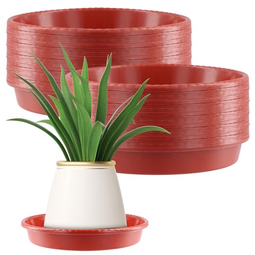 SINJEUN 36 Stück Blumentopf Untersetzer Rot, 16 cm Pflanzen Untersetzer Rund, Klein Blumenuntersetzer Kunststoff für Blumentöpfe, Garten, Außen & Innen von SINJEUN