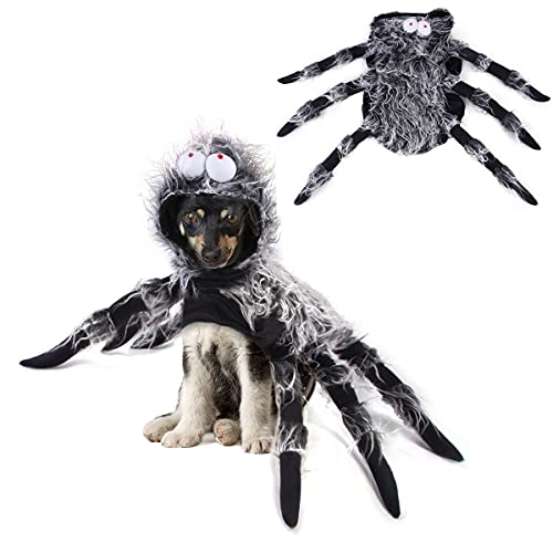 SIPLIV Halloween-Kostüm für Hunde, Halloween-Requisiten, gruselige Horrorspinnen-Kleidung, Welpen, Tuch für Halloween, Cosplay, Party, Requisiten – Größe M von SIPLIV