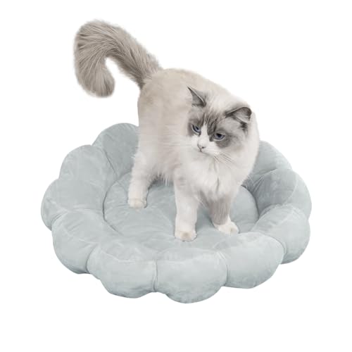 SIQITECH Hundebett Blütenblatt Form Katzenbett Plüsch Hundesofa Warm Hundehütte Flauschig Katzennest Beidseitig Haustierbett Niedlich Katzenhütte Weich Schlafbett für Hunde Katzen Welpen Kätzchen SIQITECH Hundebett Blütenblatt Form Katzenbett Plüsch Hundesofa Warm Hundehütte Flauschig Katzennest Beidseitig Haustierbett Niedlich Katzenhütte Weich Schlafbett für Hunde Katzen Welpen Kätzchen von SIQITECH