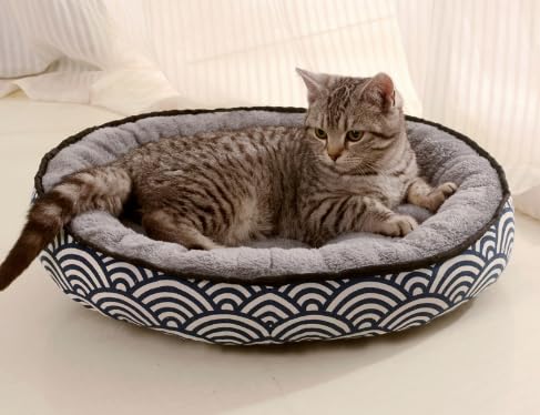 Hundebett Rund Katzenbett Flauschig Donut Kissen Warm Tierbette Winter Plüsch Katzenkorb Weich Haustierbett Waschbar Hundesofa für Kleine Mittelgroße Hunde Katze Entlastung Schlafverbesserung Hundebett Rund Katzenbett Flauschig Donut Kissen Warm Tierbette Winter Plüsch Katzenkorb Weich Haustierbett Waschbar Hundesofa für Kleine Mittelgroße Hunde Katze Entlastung Schlafverbesserung von SIQITECH