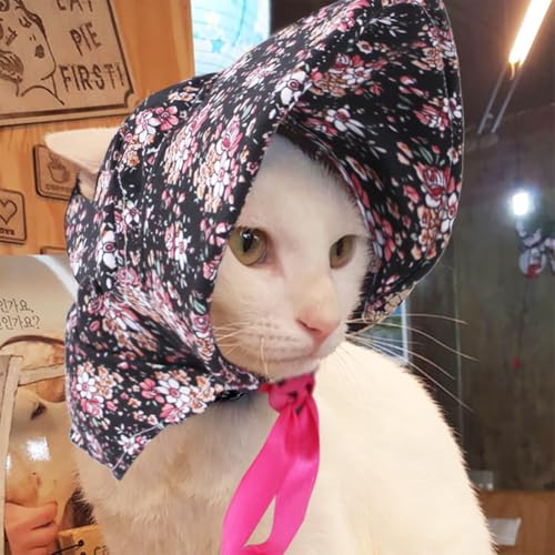 Hundemütze Sommer Niedlich Baseballmütze Kleine Mittlere Große Hunde Welpenmütze Sonnenschutz Haustierkappe mit Ohrlöcher Sonnenhut Katzen Atmungsaktive Hundekappe Verstellbar Basecap Haustiere von SIQITECH