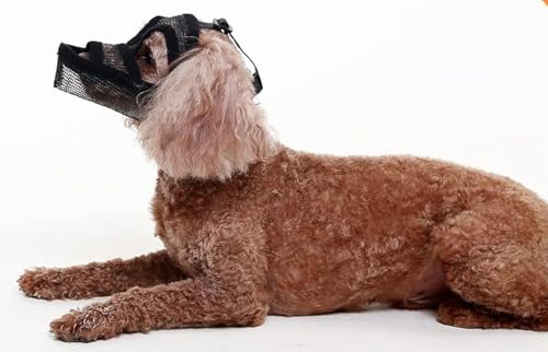 Maulkorb Hunde Atmungsaktiv Maulkörbe Verstellbar Hundemundabdeckung Fressschutz Mesh Hundemaulkorb Verhindert Beißen HundeMaulkorb Sicher Korbmaulkorb für Mittelgroße Große Hunde Maulkorb Hunde Atmungsaktiv Maulkörbe Verstellbar Hundemundabdeckung Fressschutz Mesh Hundemaulkorb Verhindert Beißen HundeMaulkorb Sicher Korbmaulkorb für Mittelgroße Große Hunde von SIQITECH