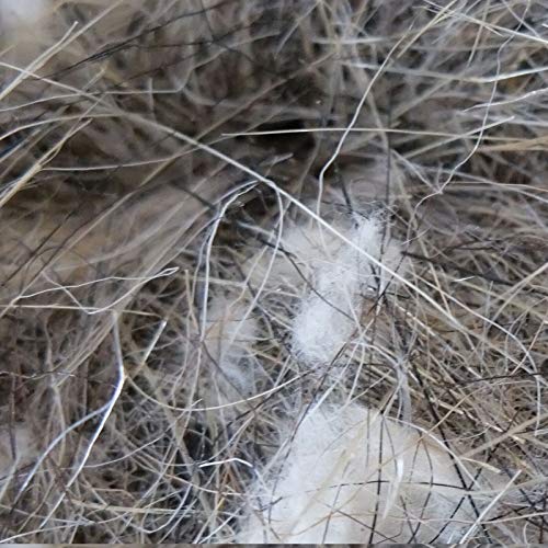 SISAL FIBRE Kanarienvögel-Finkenkäfig aus natürlichem Tierhaar und Baumwolle, 50 g von SISAL FIBRE