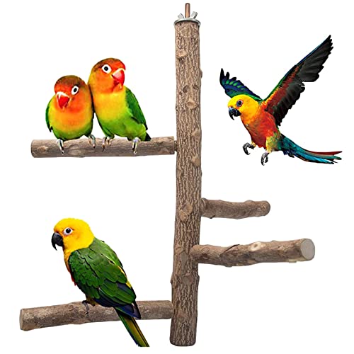 Natur Sitzstangen für Vögel, Sitzstangen für Vogelkäfige, Naturholz Sitzstangen, Natur Sitzstangen Set, Papagei Vögel Spielzeug, Vogelkäfig Zubehör für Wellensittich Nymphensittich Kanarienvogel von SISAY