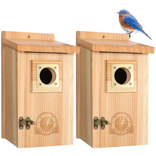 SISTERBIRD 2 Stück Vogelhäuser für den Außenraum mit Kupferschutz, Zedern-Vogelhaus für den Außenbereich, Bluebird Finken, Schwalbe, Zaunkönig, Kükel, Montage erforderlich SISTERBIRD 2 Stück Vogelhäuser für den Außenraum mit Kupferschutz, Zedern-Vogelhaus für den Außenbereich, Bluebird Finken, Schwalbe, Zaunkönig, Kükel, Montage erforderlich von SISTERBIRD