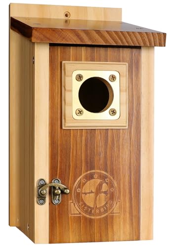 SISTERBIRD Bluebird Häuser für Draußen, Premium Holz Vogelhäuser für Draußen, Vintage Vogelhäuser für Draußen, Wetterfestes Vogelhaus, Kupfer Raubfischschutz Bluebird Schwalbe Zaunkönig von SISTERBIRD