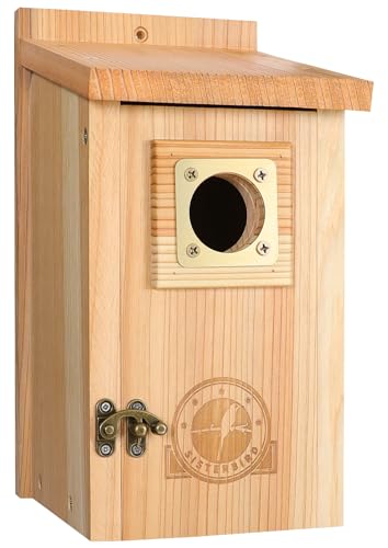 SISTERBIRD Vogelhäuser für Außenabfertigung mit Kupferschutz, Zedernvogelhaus Outdoor, Bluebird Schwalbe Zaunkönig Küken Montage erforderlich SISTERBIRD Vogelhäuser für Außenabfertigung mit Kupferschutz, Zedernvogelhaus Outdoor, Bluebird Schwalbe Zaunkönig Küken Montage erforderlich von SISTERBIRD
