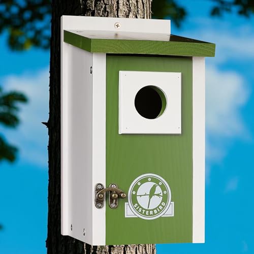 SISTERBIRD Vogelhäuser für Außenräumung mit Holzschutz, Zedernvogelhaus Outdoor, Bluebird Finken Schwalbe Zaunkönig Küken, Lindgrün SISTERBIRD Vogelhäuser für Außenräumung mit Holzschutz, Zedernvogelhaus Outdoor, Bluebird Finken Schwalbe Zaunkönig Küken, Lindgrün von SISTERBIRD
