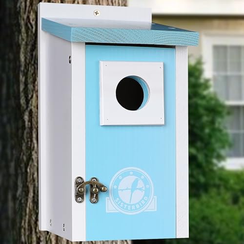 SISTERBIRD Vogelhäuser für Draußen Eisblau Vogelhaus Bluebird Häuser für Draußen Gartendeko Vogelhäuser für Draußen Bluebird Finken Schwalbe Zaunkönig Küken SISTERBIRD Vogelhäuser für Draußen Eisblau Vogelhaus Bluebird Häuser für Draußen Gartendeko Vogelhäuser für Draußen Bluebird Finken Schwalbe Zaunkönig Küken von SISTERBIRD