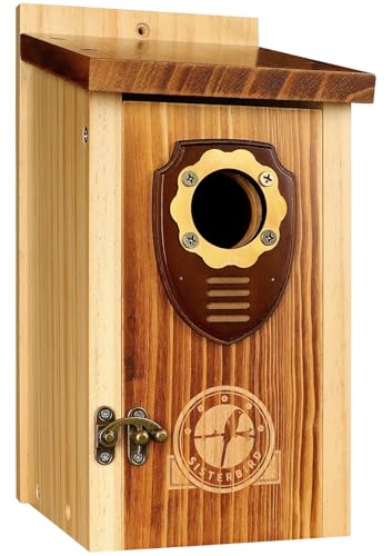 SISTERBIRD Vogelhäuser für den Außenraum mit Kupferschutz, Kiefer Vogelhaus Outdoor, Bluebird Finken Schwalbe Zaunkönig Küken SISTERBIRD Vogelhäuser für den Außenraum mit Kupferschutz, Kiefer Vogelhaus Outdoor, Bluebird Finken Schwalbe Zaunkönig Küken von SISTERBIRD
