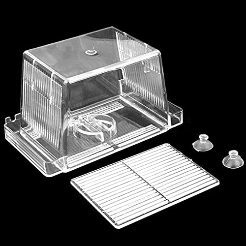 Futterbox für Reptilien Turtle Aquarium Tank Pet Turtle Panzer Tank Turtles Reptil Habitat Safe, langlebig Reptilienzuchtbox (Size : Large) von SISWIM