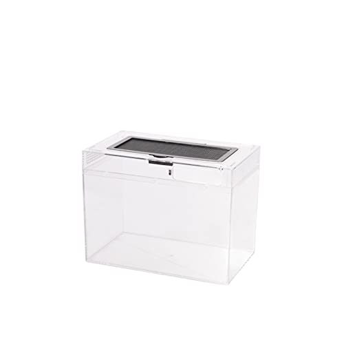 SISWIM Reptil Fütterungsbox Terrarium Amphibien Futterbox Kristallglas Reptilienbox Eidechsen Spinnen Skorpione Hornfrösche Reptilienfutterbox Reptilienzuchtbox Reptilienfütterung (Color : 30X18X22) SISWIM Reptil Fütterungsbox Terrarium Amphibien Futterbox Kristallglas Reptilienbox Eidechsen Spinnen Skorpione Hornfrösche Reptilienfutterbox Reptilienzuchtbox Reptilienfütterung (Color : 30X18X22) von SISWIM