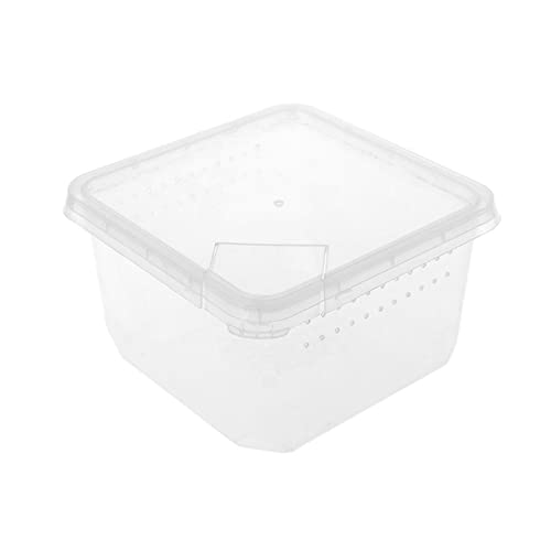 SISWIM Reptil Fütterungsbox Terrarium Amphibien Futterhäuschen Reptilien Aquarium Futterhäuschen Spinnen Eidechsen Käfer Kästen Reptilienzuchtbox Reptilienfütterung SISWIM Reptil Fütterungsbox Terrarium Amphibien Futterhäuschen Reptilien Aquarium Futterhäuschen Spinnen Eidechsen Käfer Kästen Reptilienzuchtbox Reptilienfütterung von SISWIM