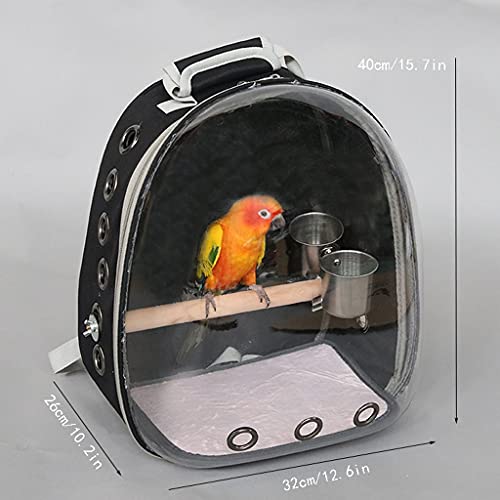 SISWIM Vogelkäfig Haustier Rucksack Startseite Reise Käfig Papagei Vogel Käfig Tragbare Vogelbox Nymphensittich, Kanarische, Taube Sittich Vogel Familie Tiere Haustierzubehör SISWIM Vogelkäfig Haustier Rucksack Startseite Reise Käfig Papagei Vogel Käfig Tragbare Vogelbox Nymphensittich, Kanarische, Taube Sittich Vogel Familie Tiere Haustierzubehör von SISWIM