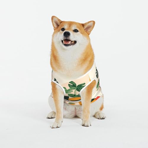 Siulas Hundejacke, Haustierkleidung für Katzen und Hunde, Cartoon-Schildkrötenrücken, Bambus-Hunde-Pyjama, Mantel für kleine, mittelgroße und große Hunde Siulas Hundejacke, Haustierkleidung für Katzen und Hunde, Cartoon-Schildkrötenrücken, Bambus-Hunde-Pyjama, Mantel für kleine, mittelgroße und große Hunde von SIULAS