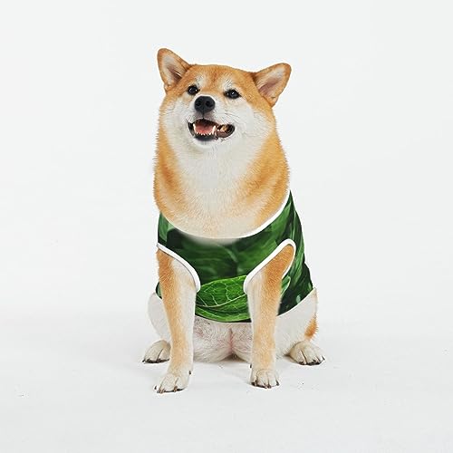 Siulas Klassische Hunde-Anxiety-Jacke, bequeme Haustierbekleidung für Katzen und Hunde, grünes Blatt, Naturmantel für kleine, mittelgroße und große Hunde von SIULAS