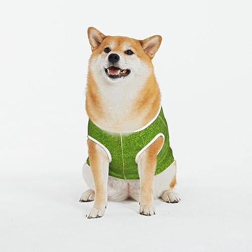 Siulas Klassische Hundeangstjacke,Bequeme Haustierbekleidung für Katzen und Hunde,Grünlandmantel für kleine, mittelgroße und große Hunde Siulas Klassische Hundeangstjacke,Bequeme Haustierbekleidung für Katzen und Hunde,Grünlandmantel für kleine, mittelgroße und große Hunde von SIULAS
